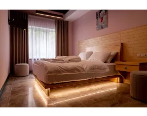 Номер «Стандарт +»   (206) - фото - 8